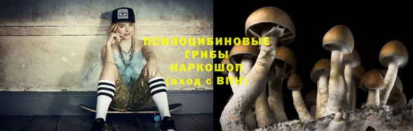 ECSTASY Абаза