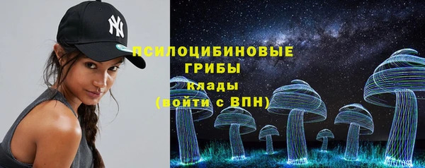 ECSTASY Абаза