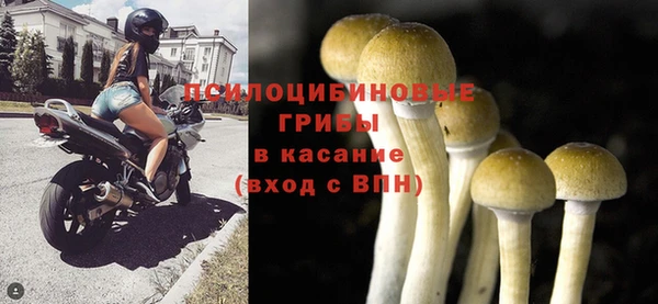 ГАЛЛЮЦИНОГЕННЫЕ ГРИБЫ Абдулино
