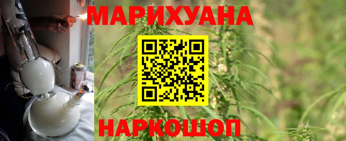 Каннабис индика Сертолово